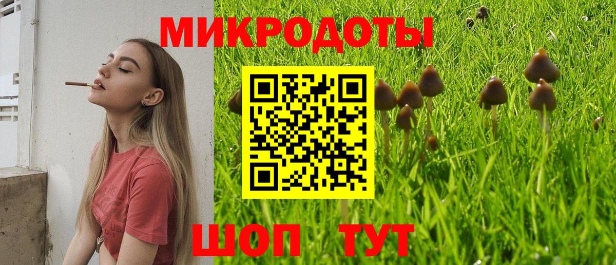 Галлюциногенные грибы мицелий Узловая