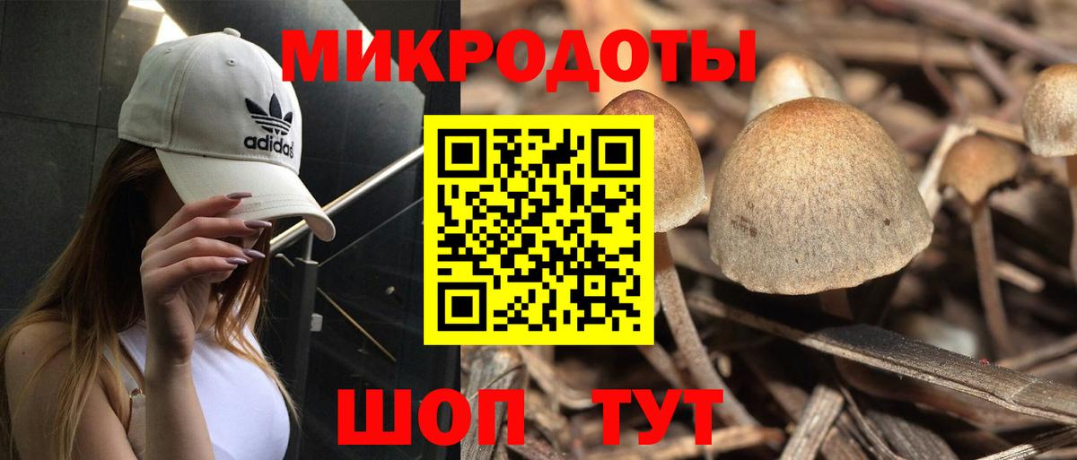 Узловая  Псилоцибиновые грибы Psilocybine cubensis  где купить наркоту  Вход с VPN  Галлюциногенные грибы Cubensis 